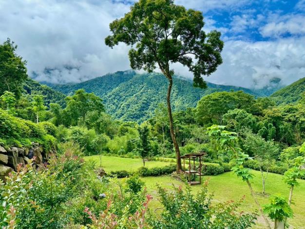 LINE_ALBUM_鹿林濤_260129_10