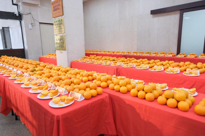 官網-今年桶柑評鑑共計110點參賽 的圖片