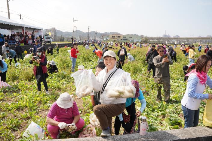 官網-新埔鎮公所今日辦理免費拔蘿蔔活動，宣布「福馬迎春尞新埔」系列活動正式起跑，民眾滿載而歸。.JPG
