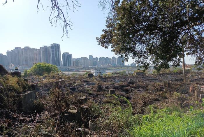 焚燒紙錢引起墓地火災