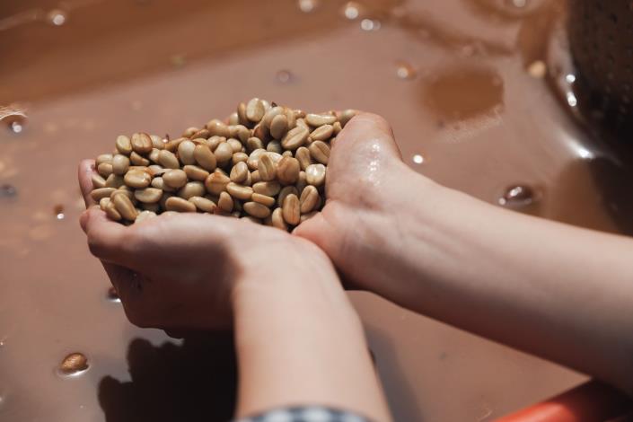 新竹縣深度旅遊品牌「新竹走走」，今年春季將全新規劃4條主題遊程，圖為咖啡。 (2)