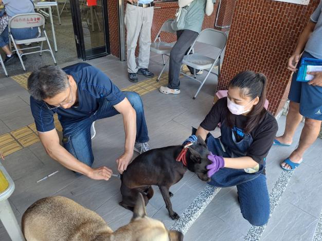 狂犬病預防註射尖石鄉巡迴60047_0 的圖片