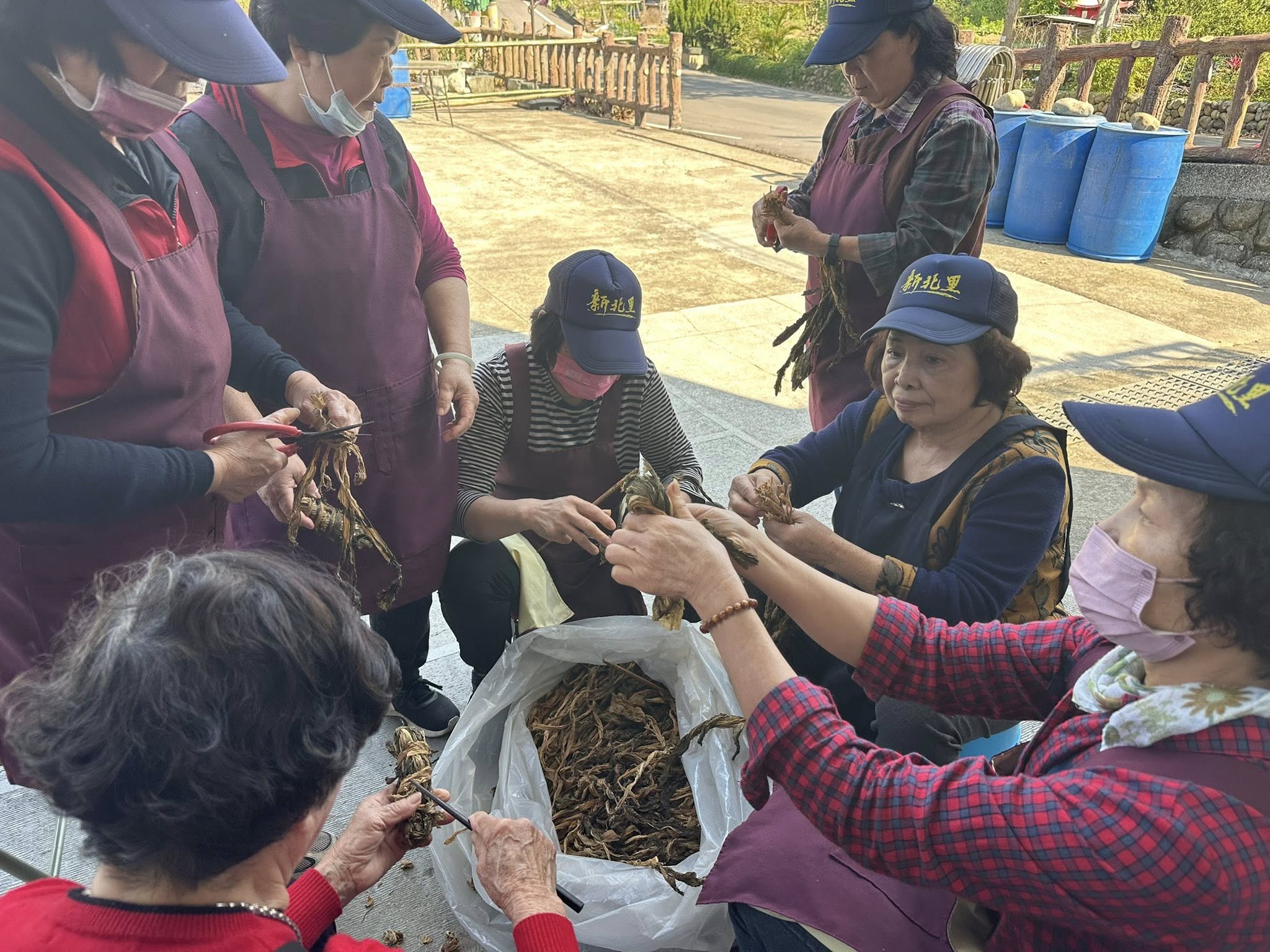 官網-社區長輩共同製作福菜(新埔新北社區提供)