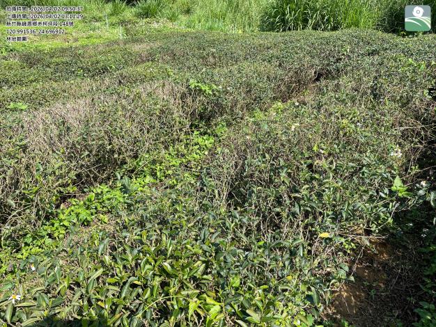 2026-04-02_1 的圖片