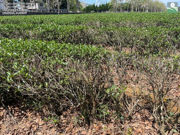 2026-04-02_2 的圖片