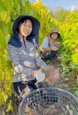 陳彩玉與先生曾明裕在六分多地上互相扶持，以多樣優質農特產在竹北農會直銷站打響名號 的圖片