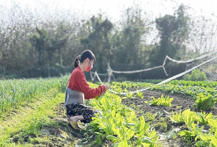 陳彩玉23 歲嫁到竹北新港，從事農業至今 30 年，因發現農藥殘留影響食安，決定投入無農藥耕作與土質改良 的圖片