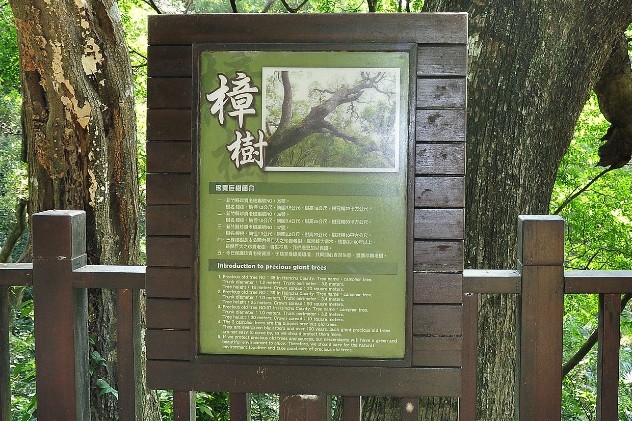 005037_列管老樟樹的解說牌，立於步道木欄杆上